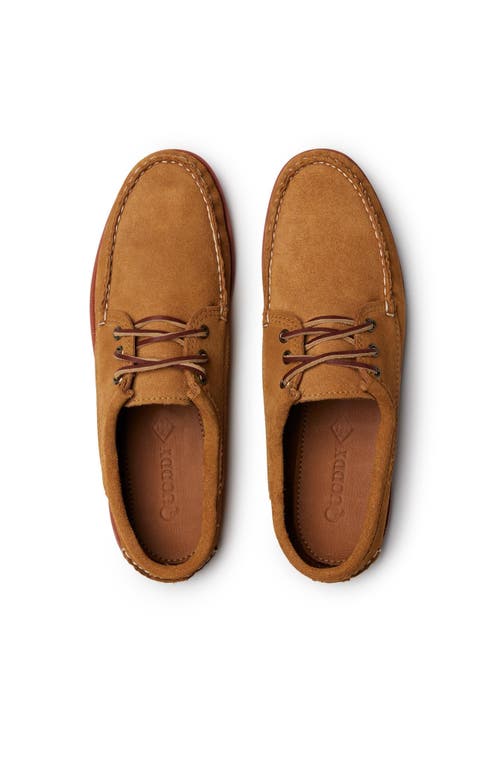 Quoddy Blucher Shoe In Brown