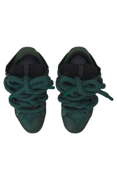Lanvin Curb Sneakers In Leather With Snake Laces In Multi