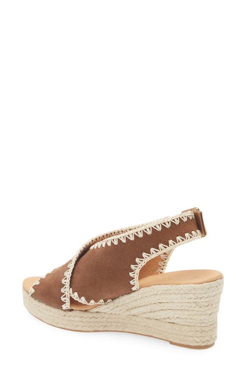 Cordani Emille Espadrille Wedge Sandal In Castana Suede