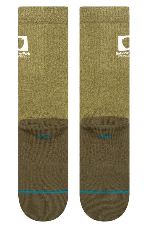 Stance National Parks Crew Socks In Burgundy