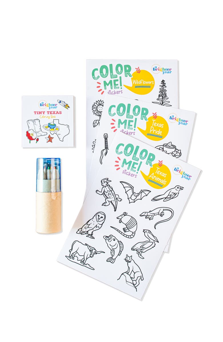 A Brighter Year Color You Own Tiny Texas Creative Activity Bundle, Main, color, Multicolor