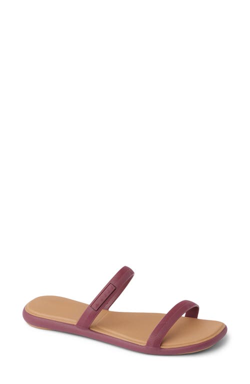 Reef Water Willow Marina Slide Sandal In Brown
