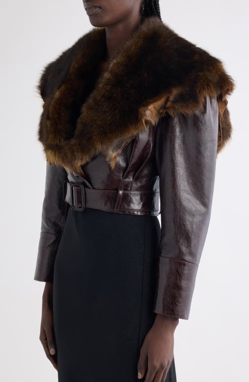 Chloé Leather Crop Jacket With Genuine Shearling Collar In Brown