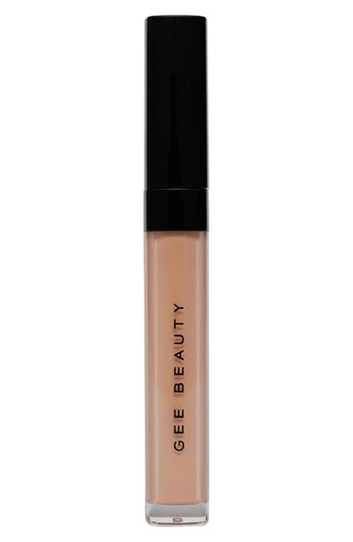 GEE BEAUTY Brightening Concealer in 3  product