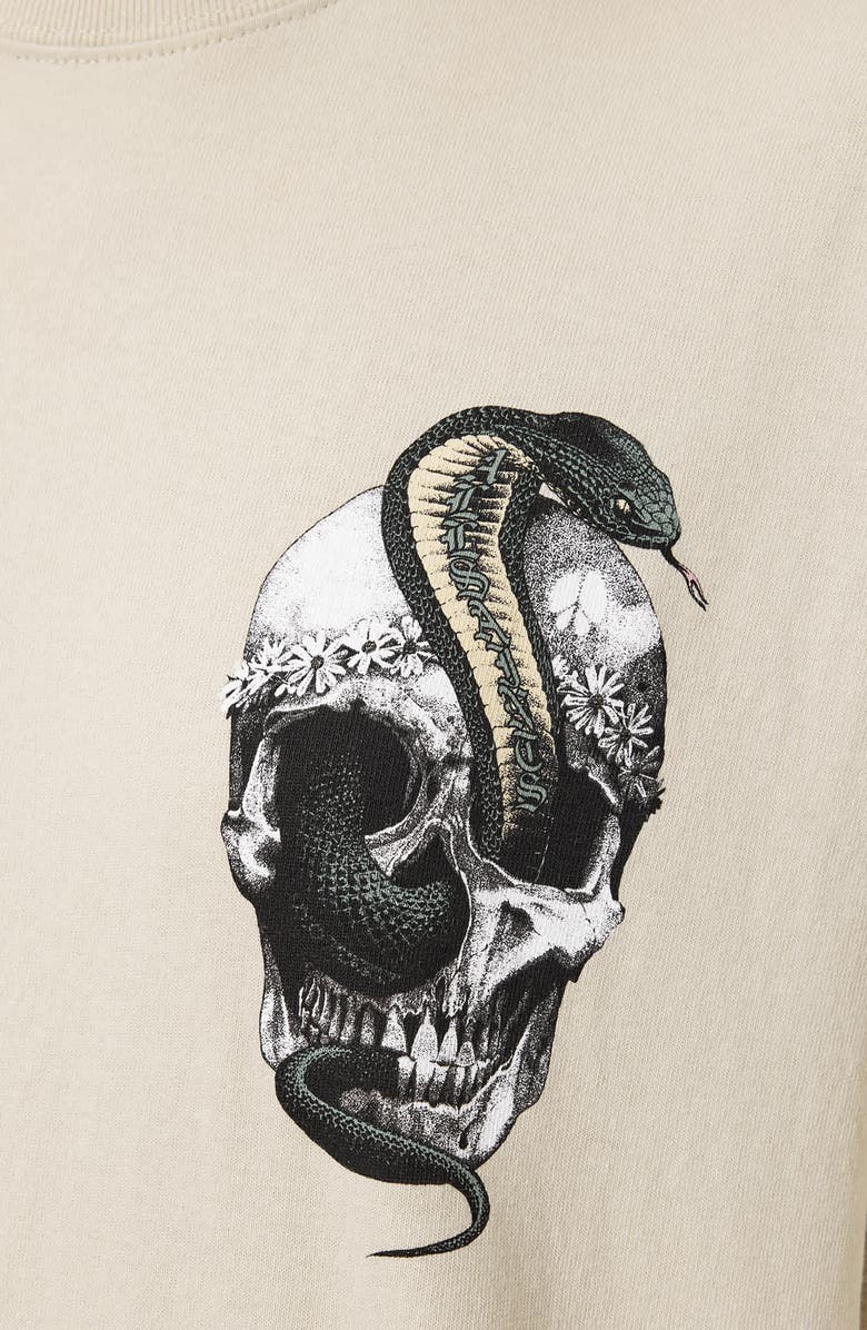 AllSaints Snakehead Etta Cotton Graphic T-Shirt, Alternate, color, Almond White