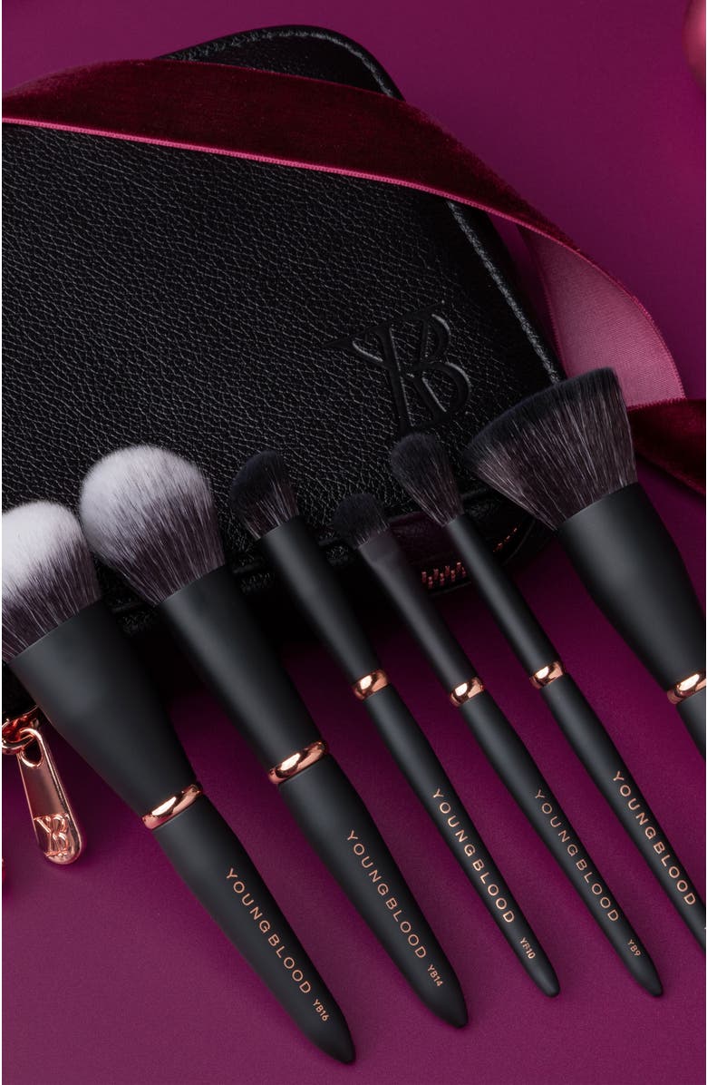 Youngblood Mineral Cosmetics Tis The Season to Travel, Alternate, color, Black