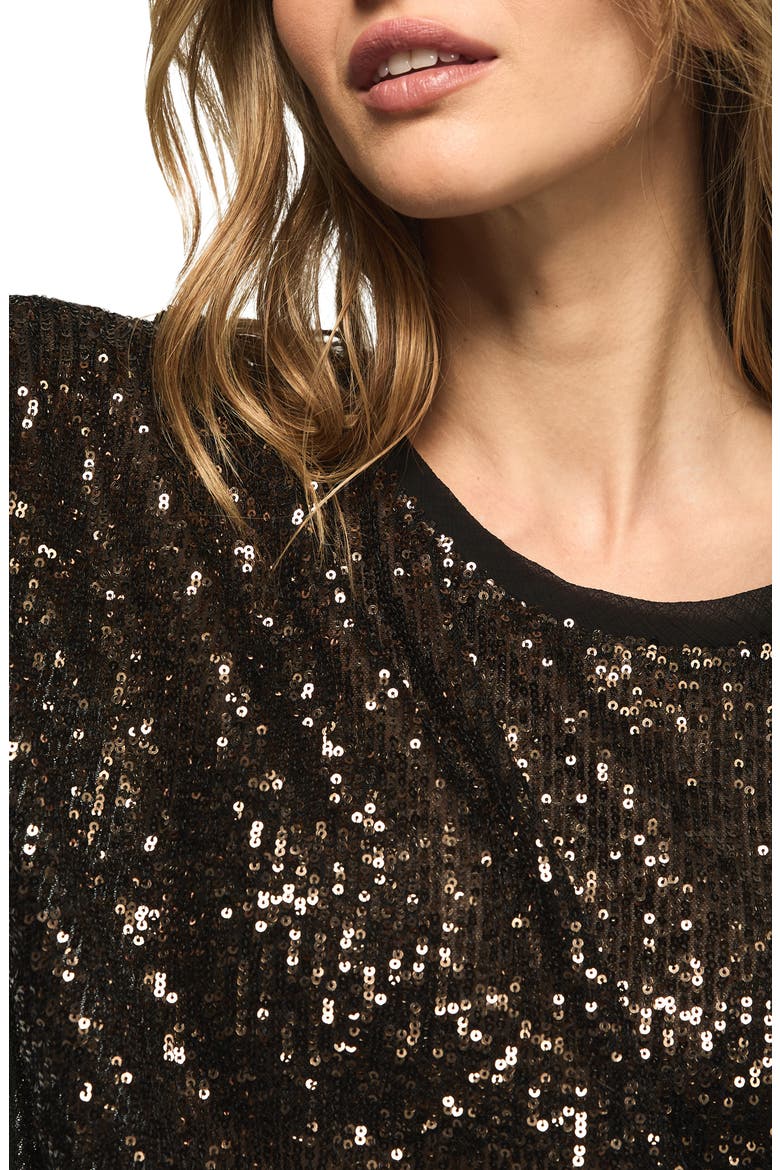 Sequin T-Shirt, Alternate, color, BROWN