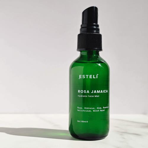 Esteli Botanical Face Mist In Dark Green