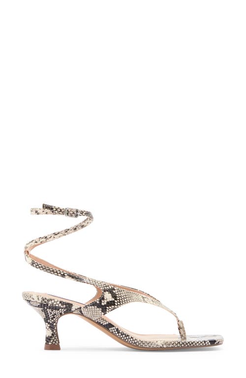Steve Madden Rayger Ankle Strap Heel Sandal