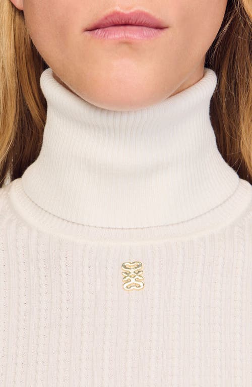 Sandro Turtleneck Sweater In Neutral