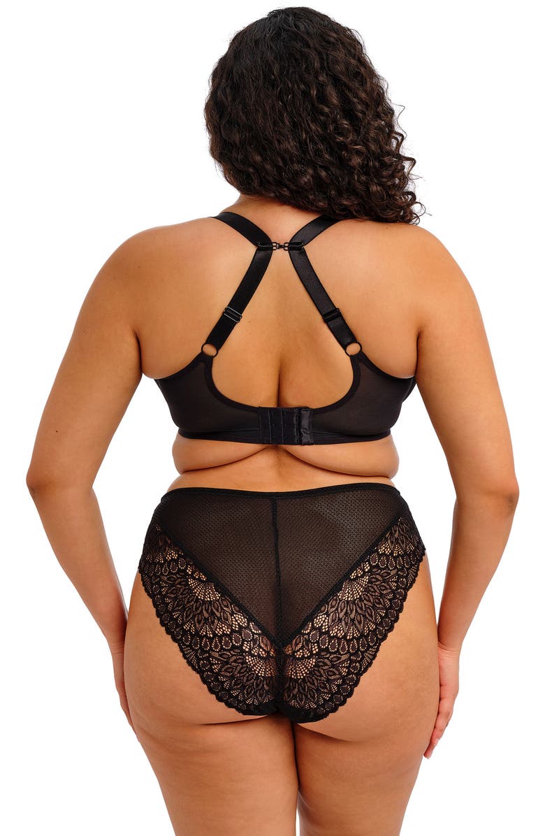 Elomi Tiernie Lace Trim Mesh Briefs, Alternate, color, Black