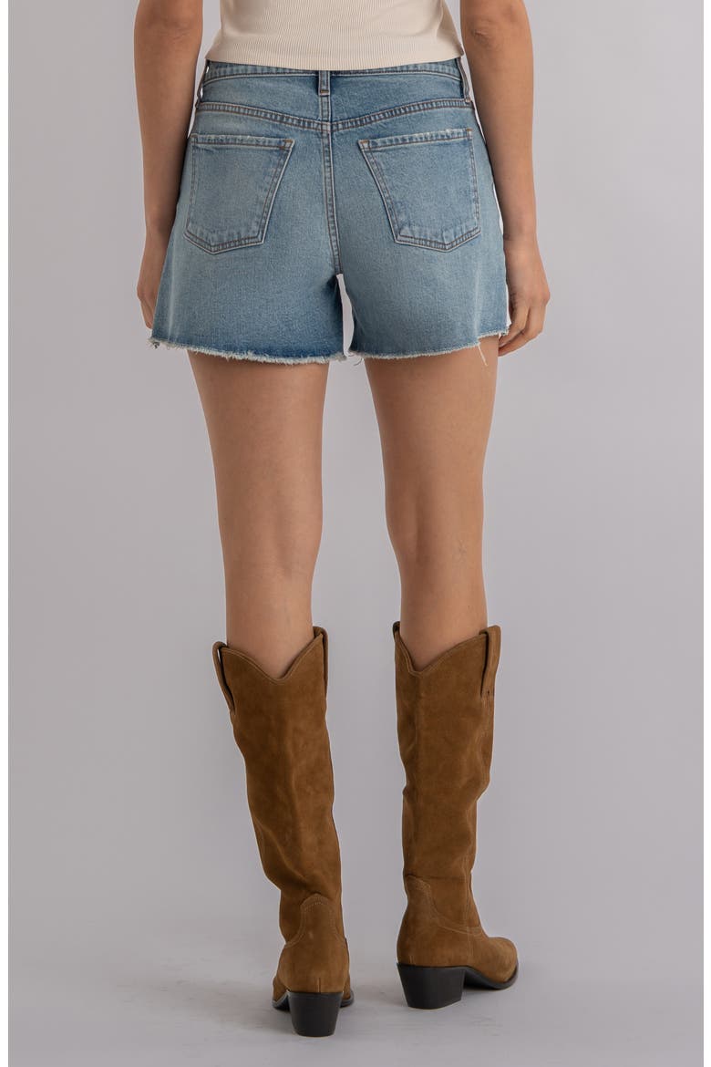 Jane High Waist Cutoff Denim Shorts, Alternate, color, WHIZ