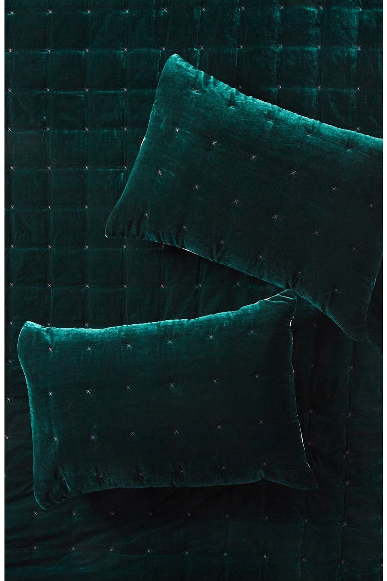 Emery Set of 2 Velvet Shams, Main, color, HOLLY