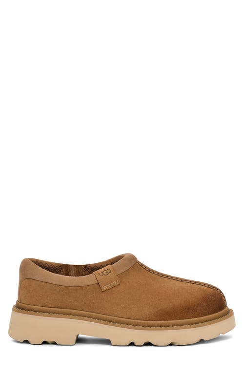Ugg(r) Tasman Lug Sole Clog In Chestnut