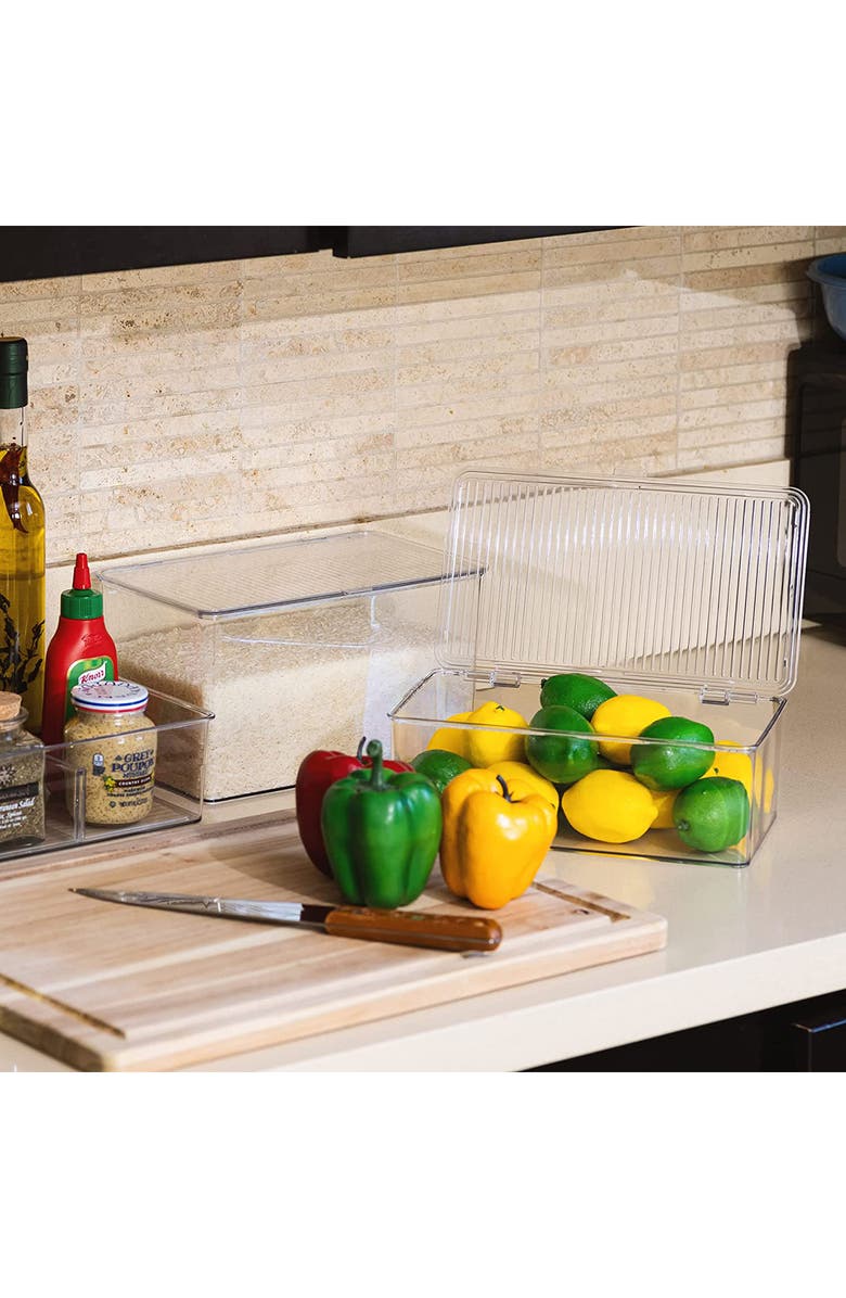 SORBUS Set of 2 Clear Lidded Storage Bins, Alternate, color, 