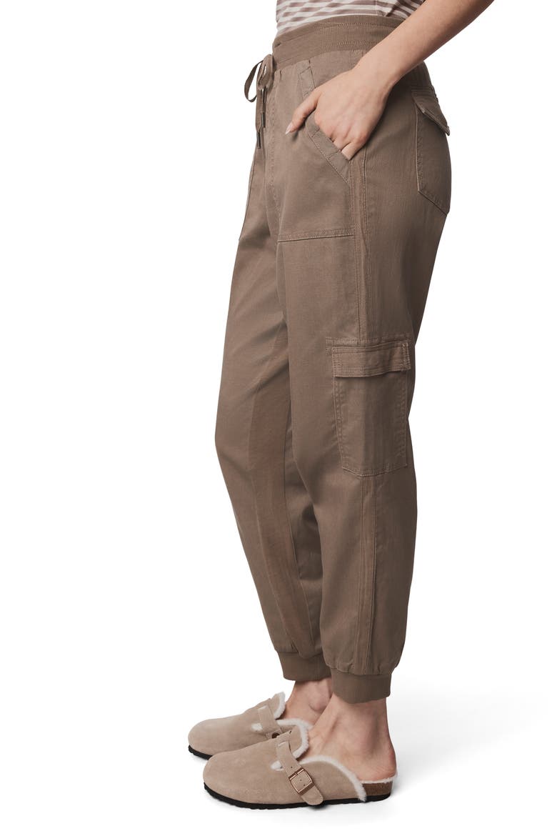 Jaclyn Drawstring Waist Joggers, Alternate, color, CEDAR BROWN