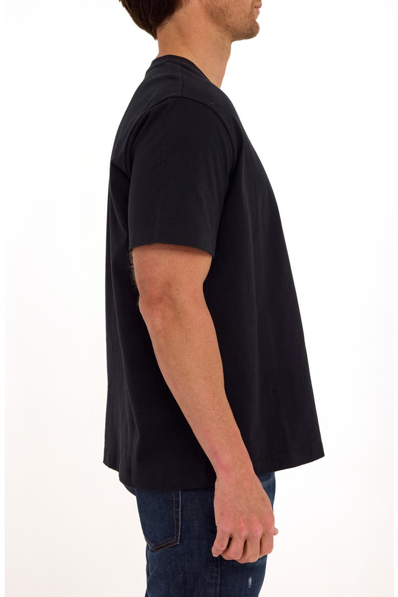 Roger Relaxed Fit V-Neck Cotton Jersey T-Shirt, Alternate, color, BLACK