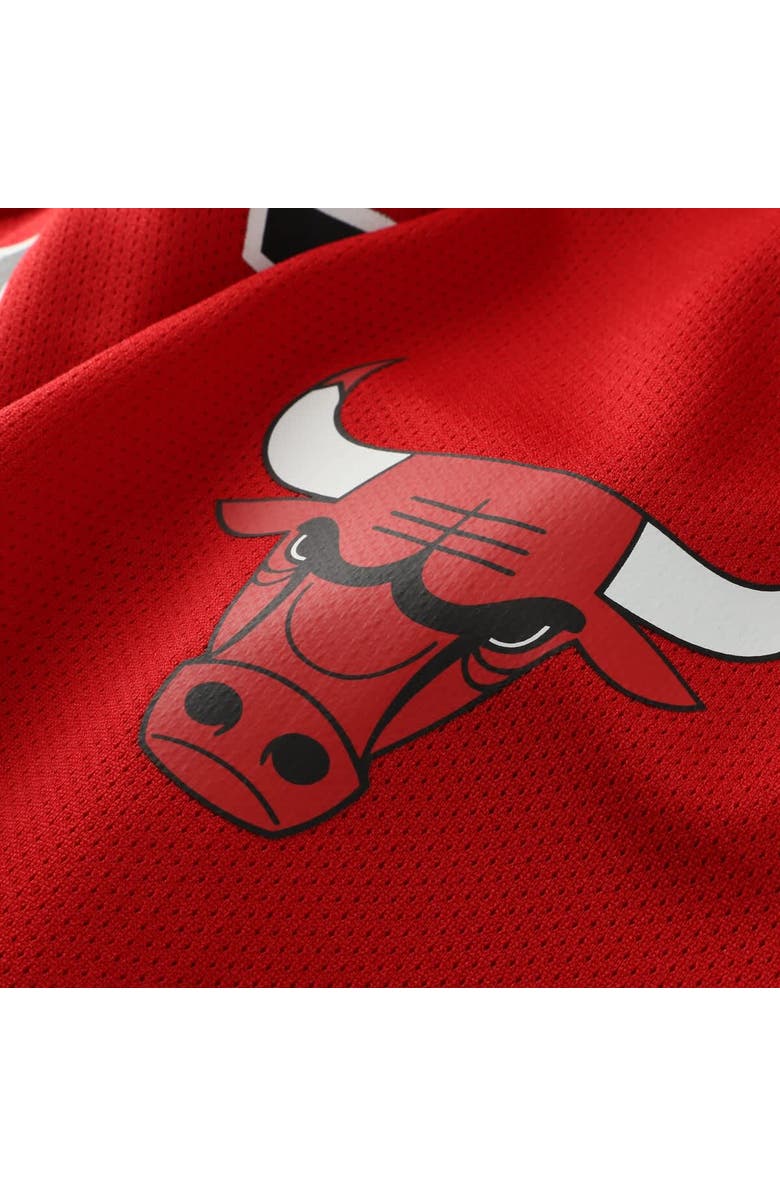 Mitchell & Ness Men's Mitchell & Ness Dennis Rodman Red Chicago Bulls Big & Tall NBA Hockey Jersey, Alternate, color, Red