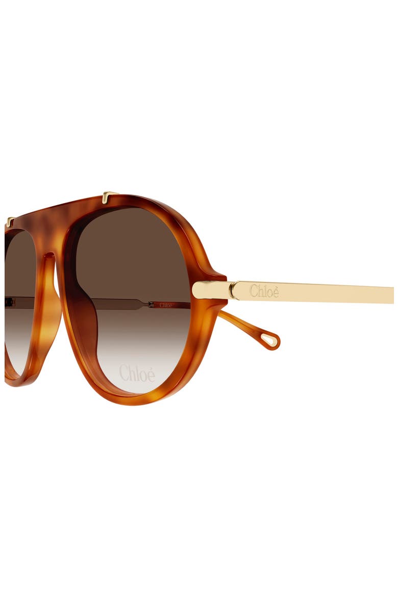 58mm Gradient Round Sunglasses, Alternate, color, HAVANA
