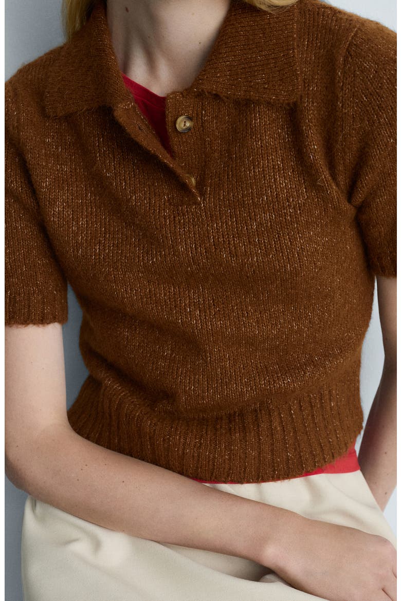 Crop Polo Sweater, Alternate, color, BROWN