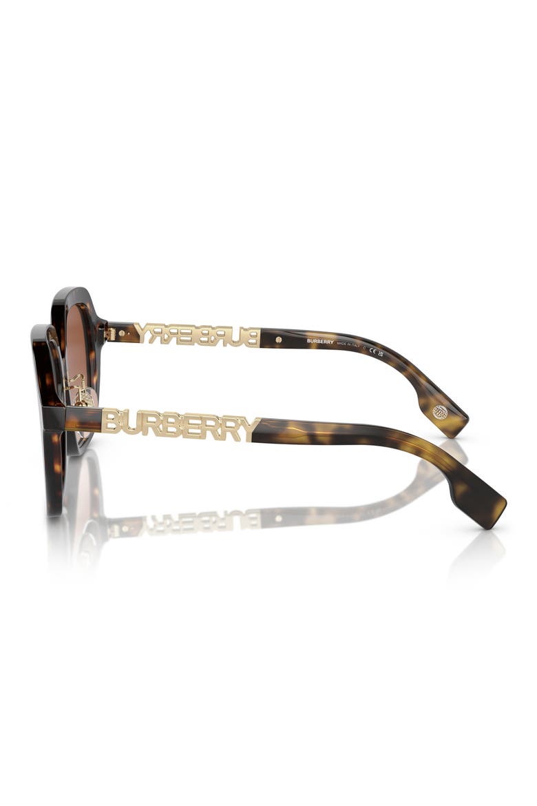 Joni 55mm Gradient Square Sunglasses, Alternate, color, DARK HAVANA/ BROWN GRADIENT