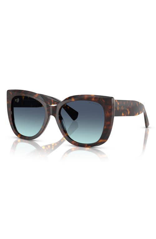 Tiffany & Co . 55mm Gradient Square Sunglasses In Havana