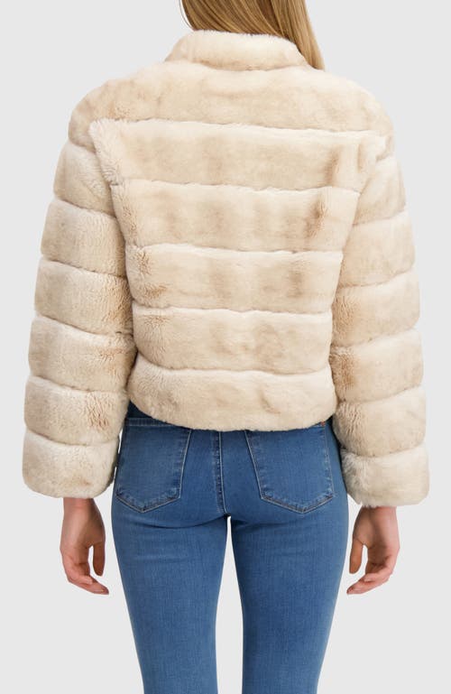 Lyla Grant Fur-free Chinchilla (faux Fur) Jacket, Stand Collar In White