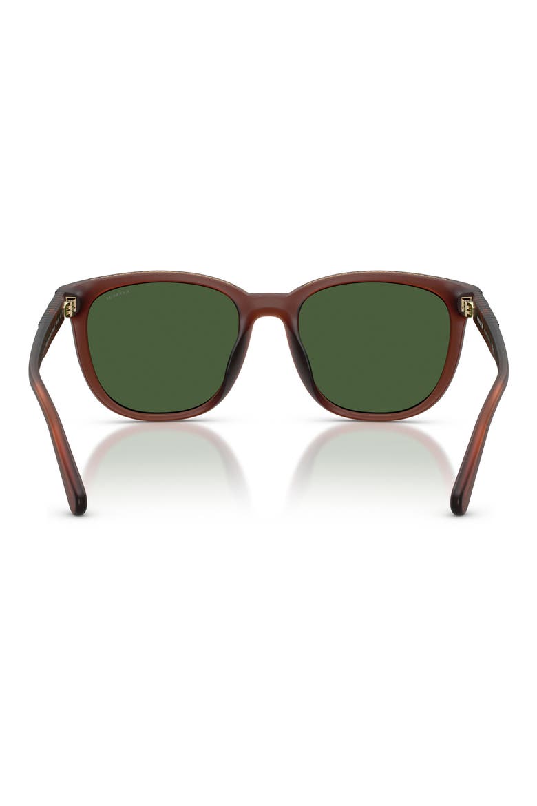 54mm Square Sunglasses, Alternate, color, TRANSPARENT BROWN / GREEN
