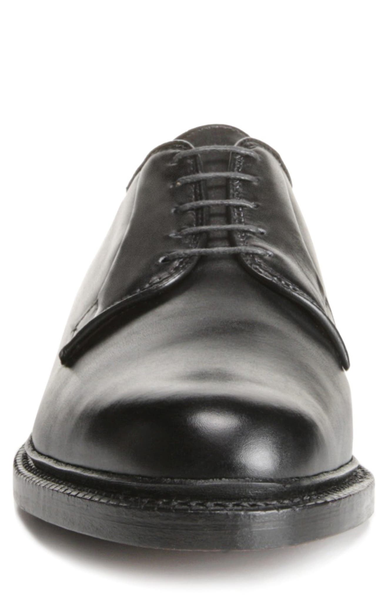 Allen Edmonds Leeds Plain Toe Derby, Alternate, color, 