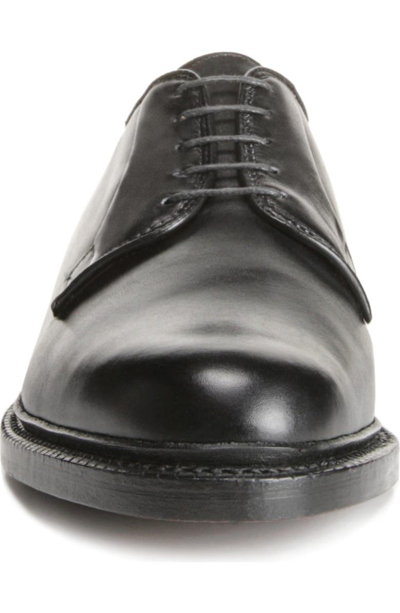 Allen Edmonds Leeds Plain Toe Derby, Alternate, color,