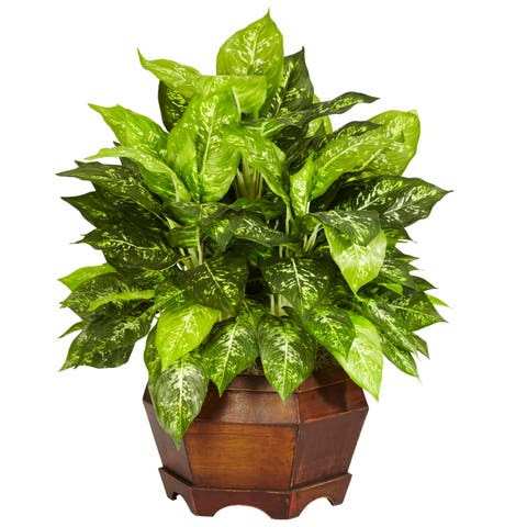 Variegated Dieffenbachia with Large Hexagon Artificial Plant