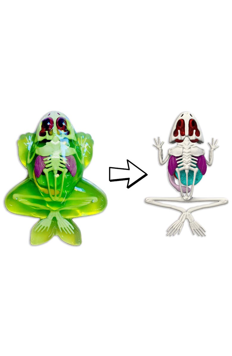 Dissect-It Dissect it Frog Lab, Science Kit, Ages 6+, Alternate, color, Multicolored