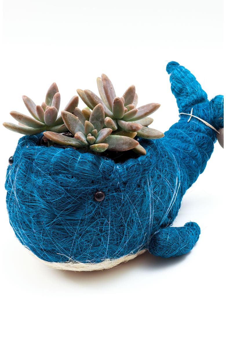 Aquatic Animal Coco Coir Planters, Alternate, color, Blue