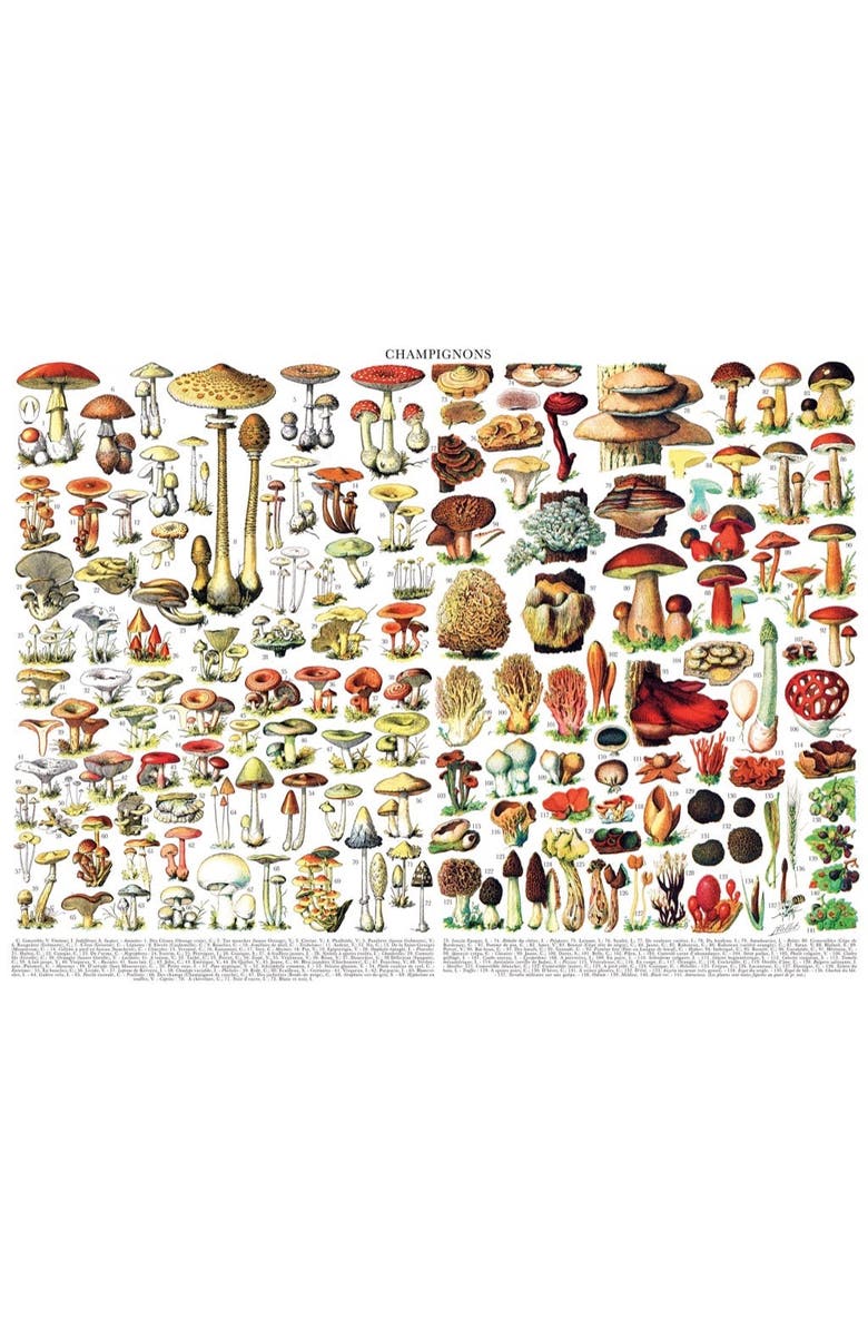 NEW YORK PUZZLE COMPANY Mushrooms ~ Champignons 1000 Piece Puzzle, Alternate, color, NO COLOR