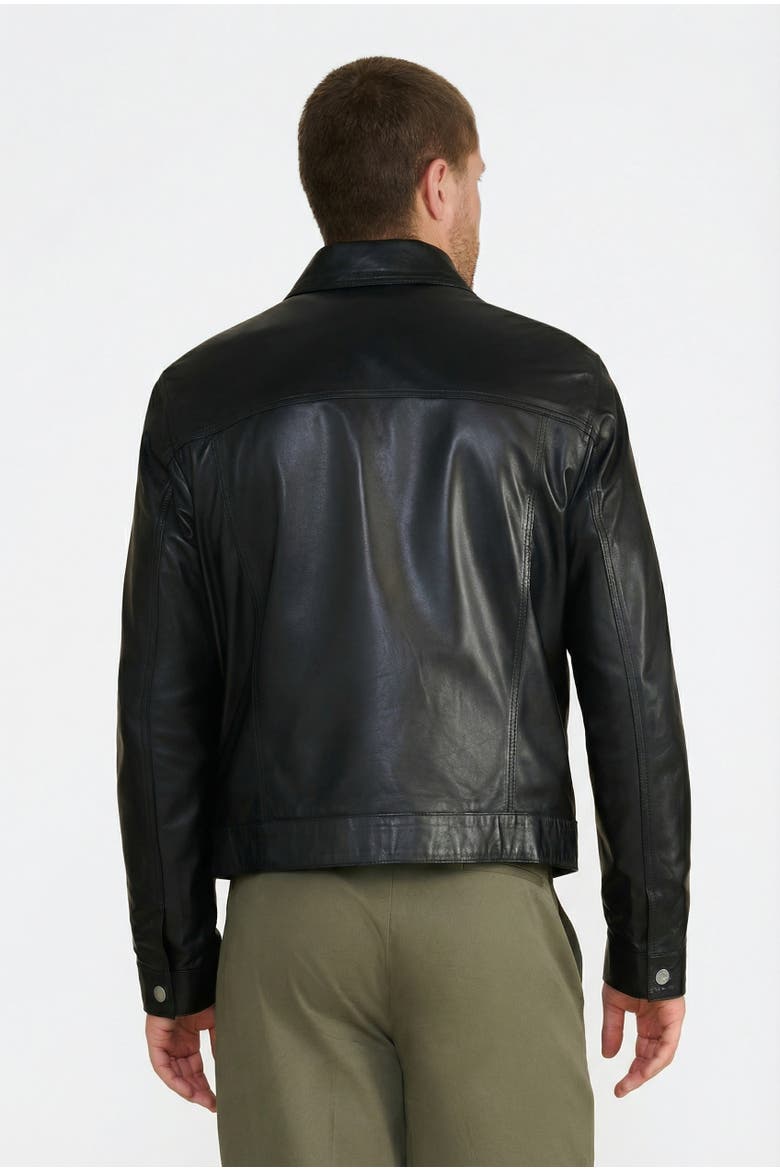 Maddox Leather Jacket, Alternate, color, Black