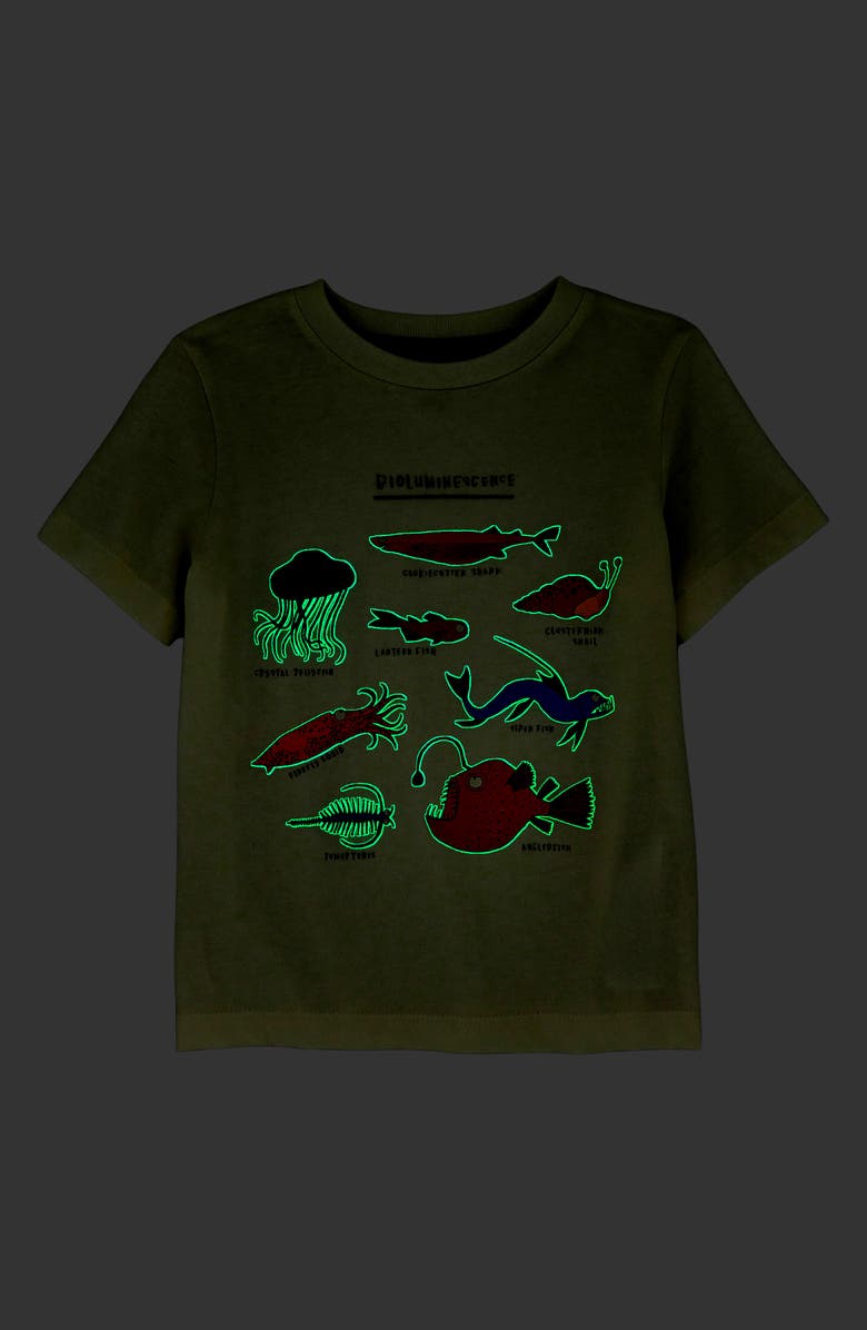 Mini Boden Kids' Glow in the Dark Fish Graphic T-Shirt, Alternate, color, 