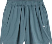 247 DNA Performance Mesh Shorts
