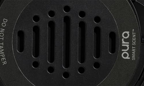 Pura Black Frost Car Dual Refill Pack In Black Frost