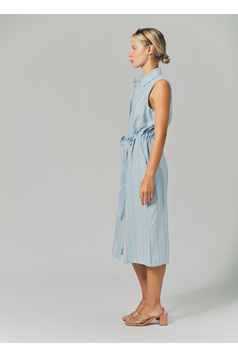 The Sleeveless Midi Dress, Alternate, color, Light Blue/Taupe