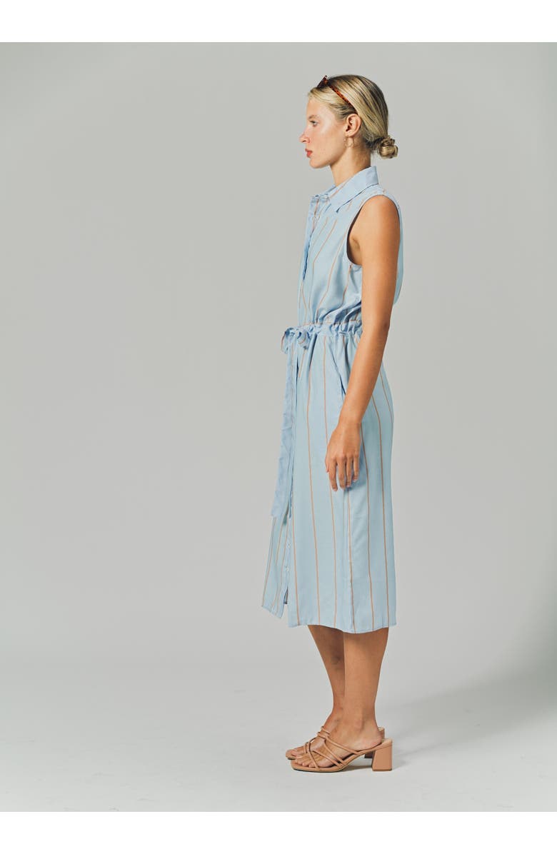 The Shirt by Rochelle Behrens The Sleeveless Midi Dress, Alternate, color, Light Blue/Taupe
