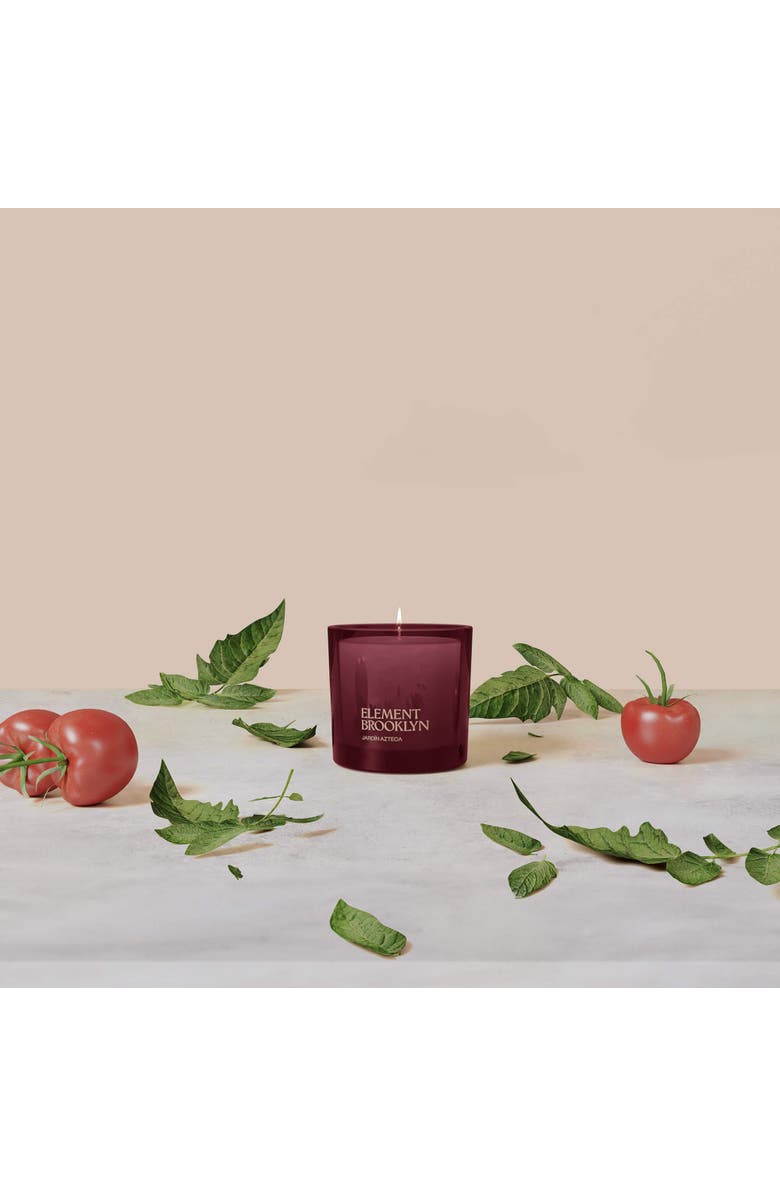 Element Brooklyn Jardin Azteca Candle, Alternate, color, Jardin Azteca