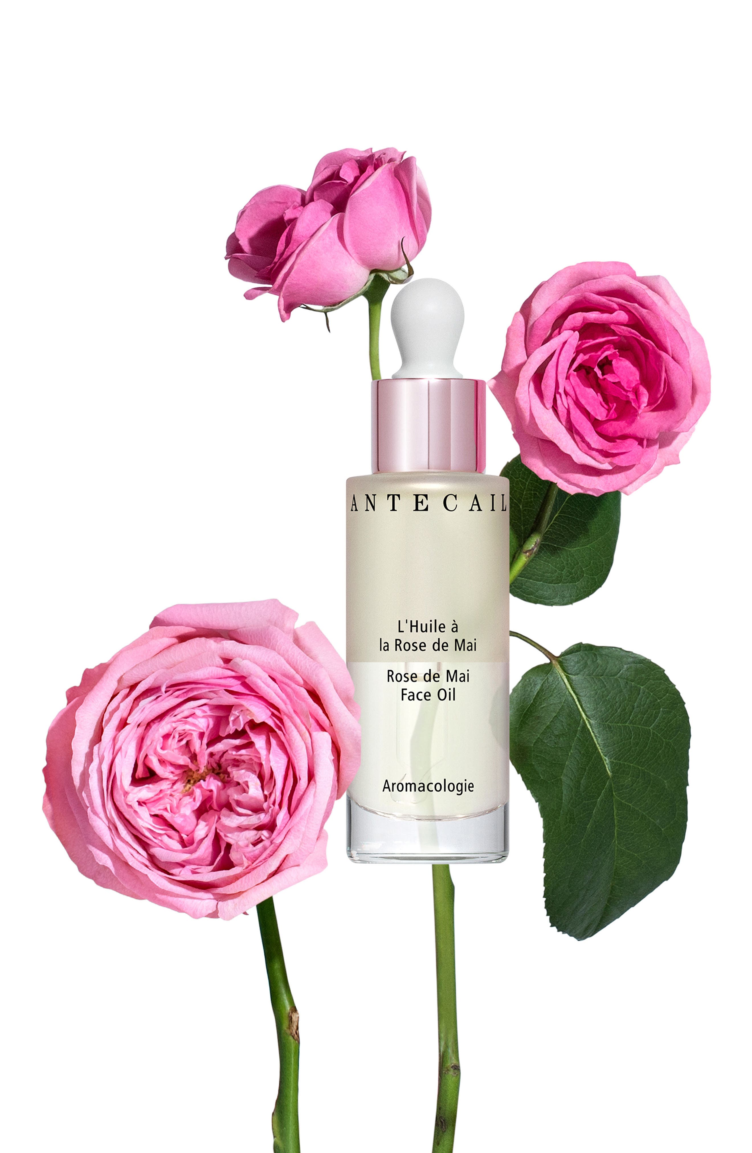 Chantecaille Rose de Mai Face Oil (Women) | Nordstrom