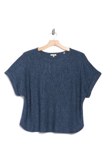 Max Studio Dolman Short Sleeve Top In Blue