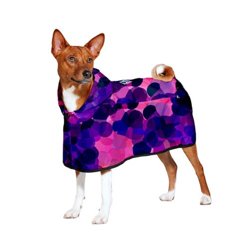 Dog Rain Poncho City Lights
