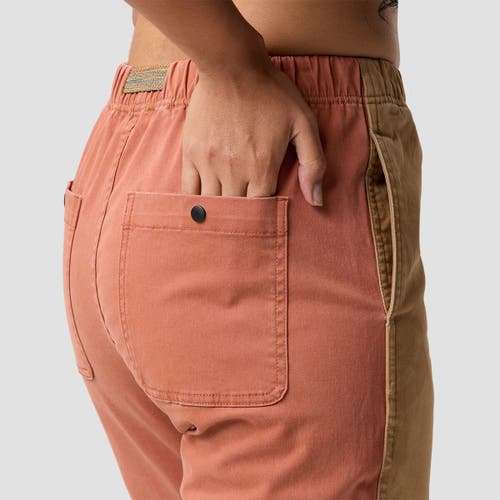 Backcountry Venture Daily Pant In Brown