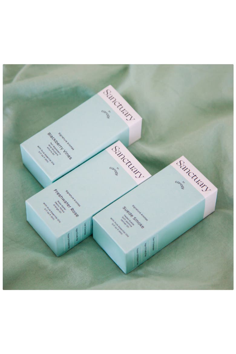 Sanctuary Aroma Kit, Alternate, color, LIGHT/ PASTEL GREEN