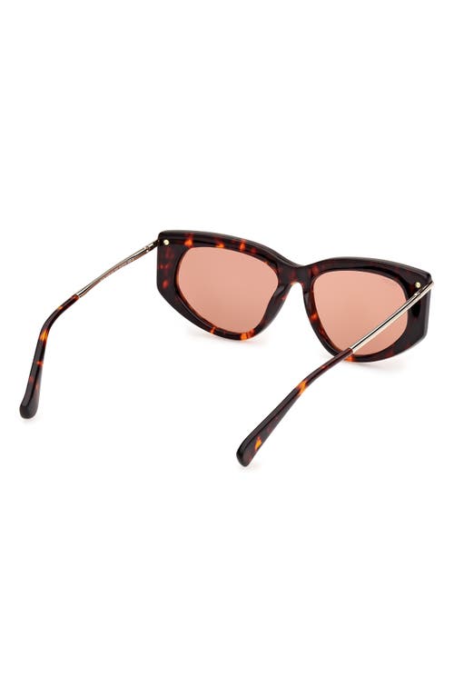 Max Mara Women's Dark Havana Beth Cat-eye Sunglasses In Dark Havana/brown