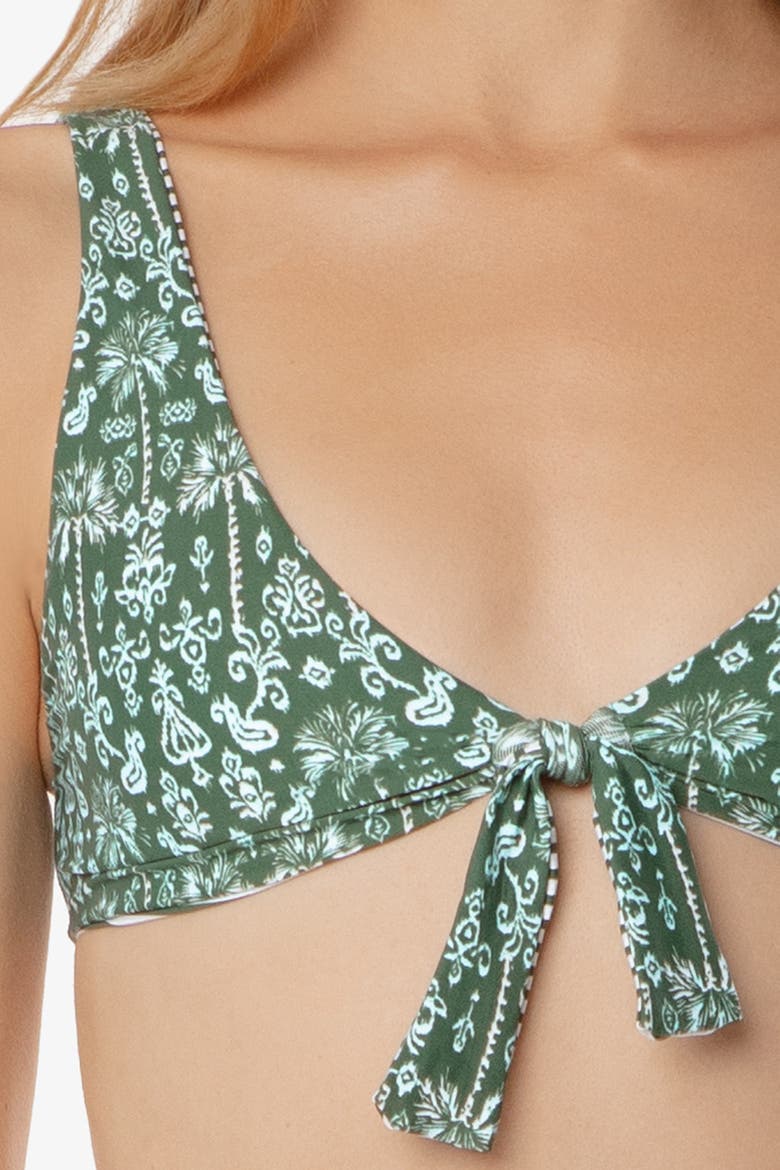 Reversible Tie Front Bra Top, Alternate, color, Salento Stripe