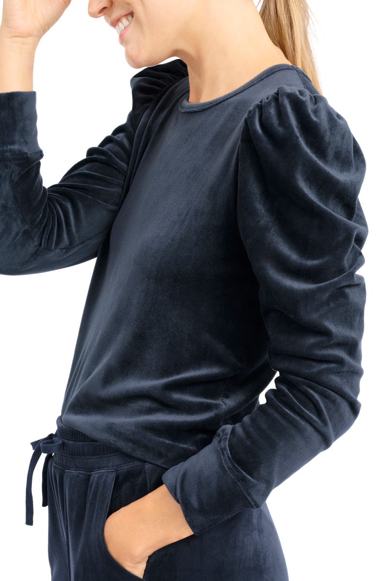 Splendid Ingrid Puff Sleeve Velour Top, Alternate, color,