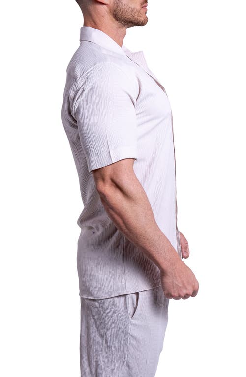 Maceoo Everyday Cream White Short Sleeve Button-up Shirt